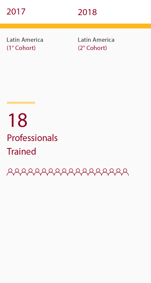 Infographic - 18 professionals were trained in Latin America between 2017 and 2018 in the first and second cohort respectively