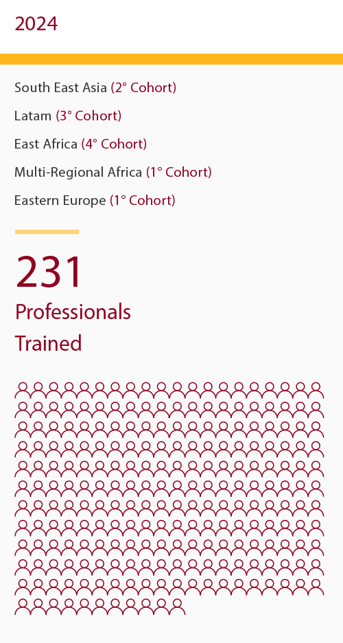 Infographic - 231 professionals were trained in South East Asia, Latam, East Africa, Multi-regional Africa, amd Eastern Europe in 2024